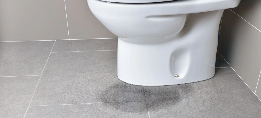 Why Is Water Leaking Around the Base of My Toilet?